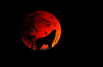 Animali totem