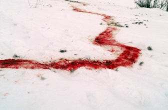 Sognare sangue